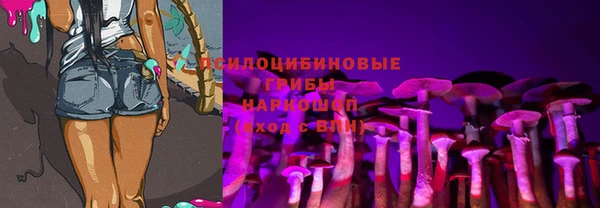 прущая мука Богородск
