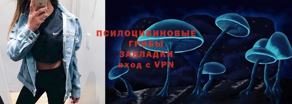 прущая мука Богородск