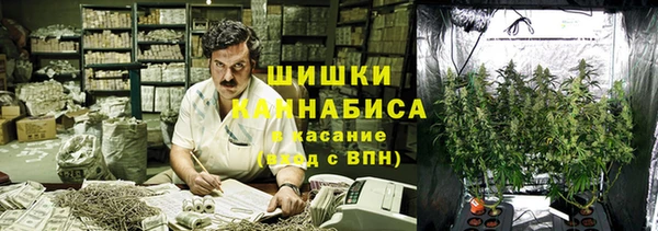 прущая мука Богданович