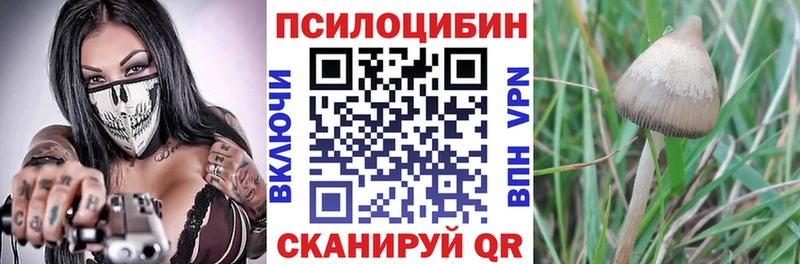Купить закладки  Малоярославец  Псилоцибиновые грибы мухоморы 